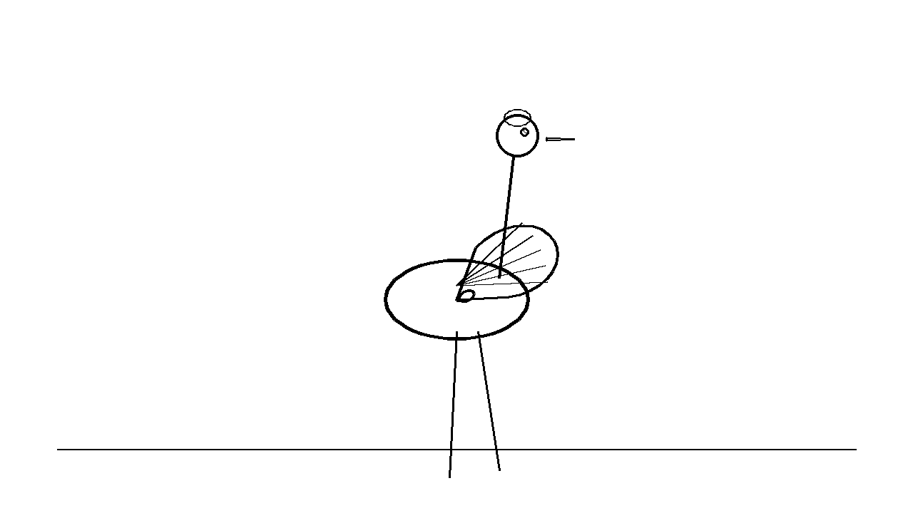 Elegant Crane Bird Coloring Page