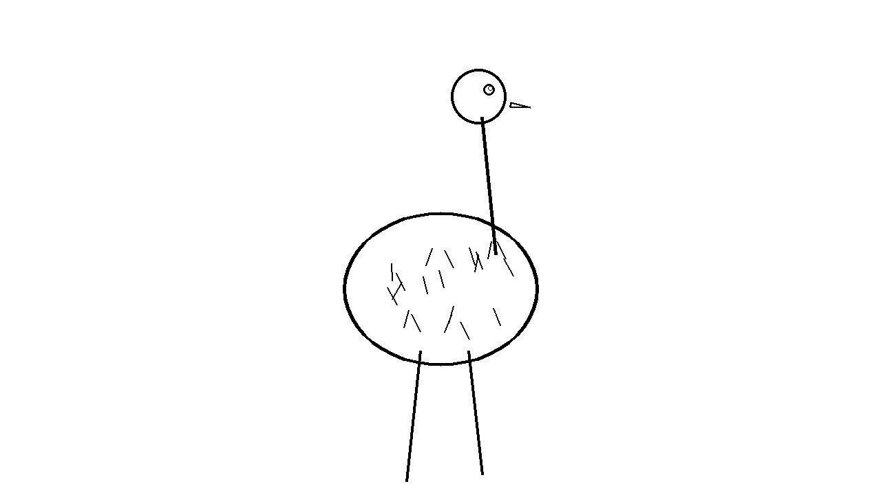 Emu Flightless Bird Coloring Page