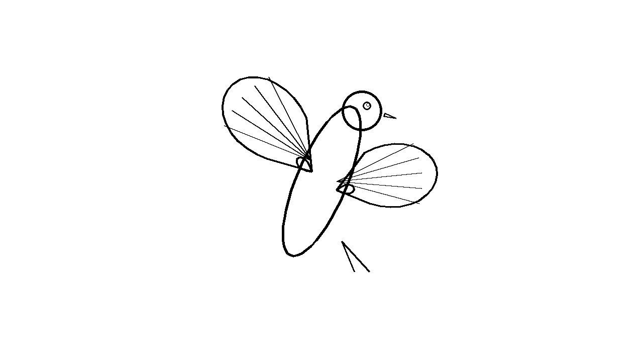 Falcon Diving Bird Coloring Page