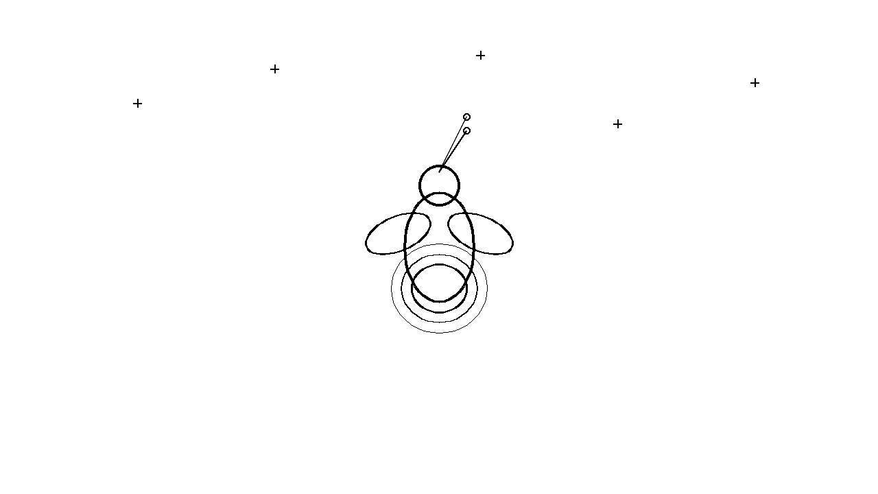 Firefly Night Glow Coloring Page