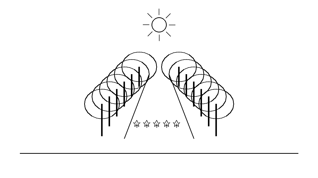 Forest Path Perspective Coloring Page