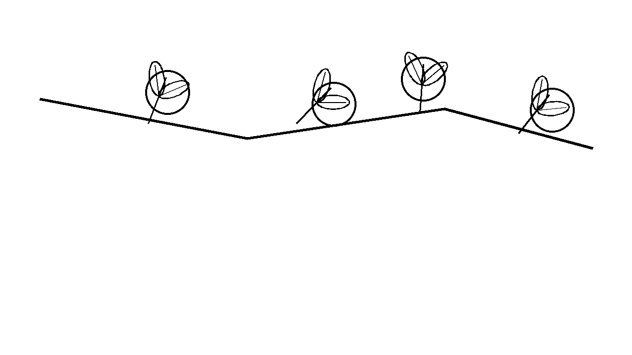 Fruit Tree Branch Coloring Page
