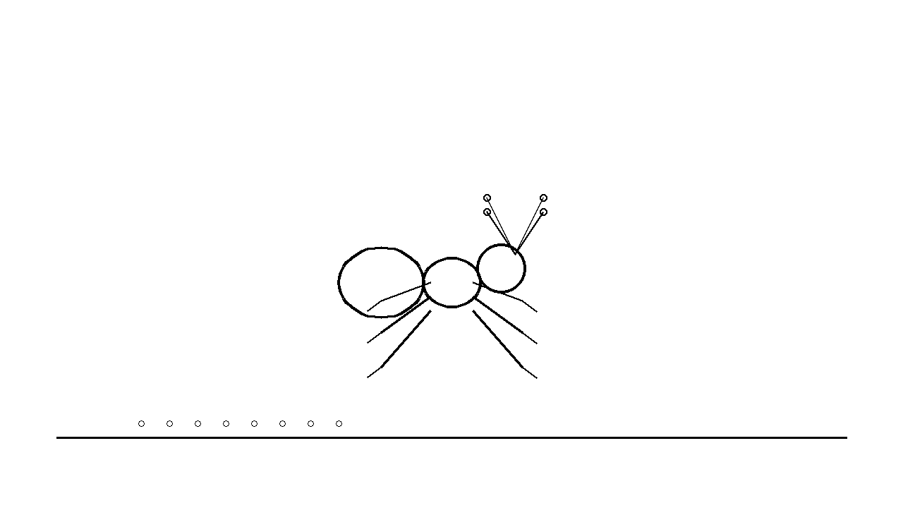 Garden Ant Insect Coloring Page