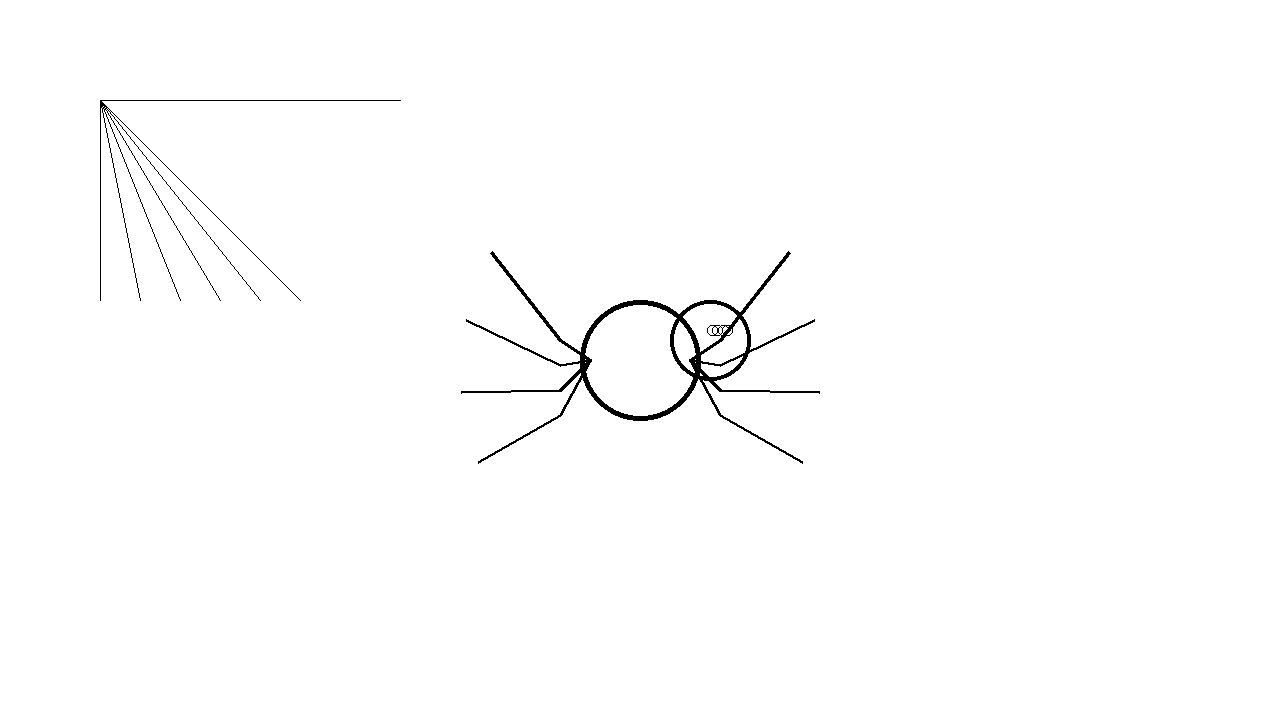 Garden Spider Web Coloring Page
