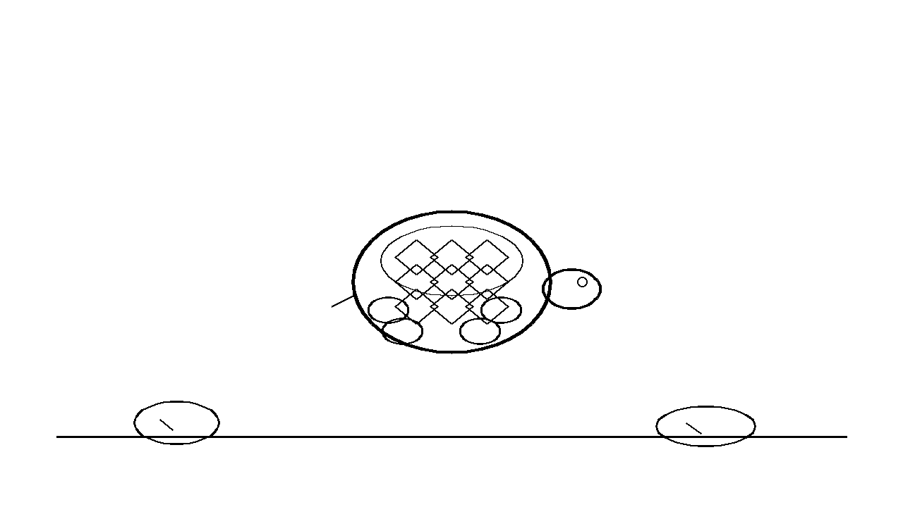 Garden Tortoise Coloring Page