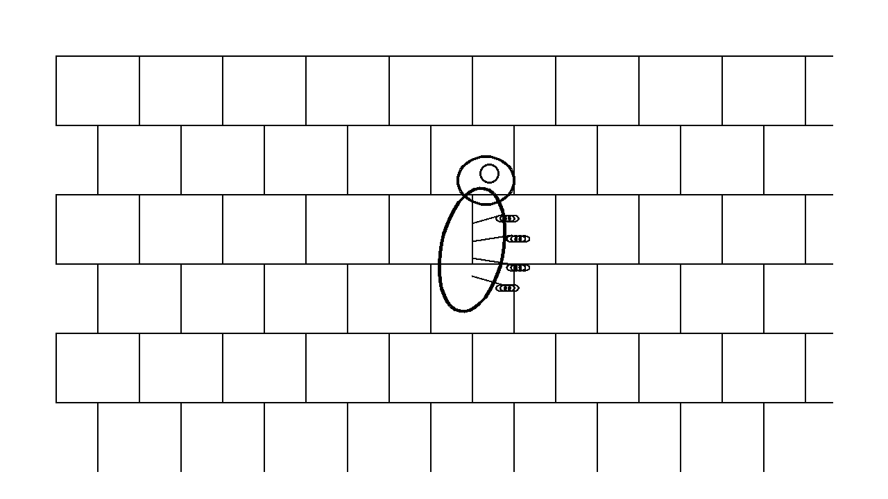 Gecko On Wall Coloring Page
