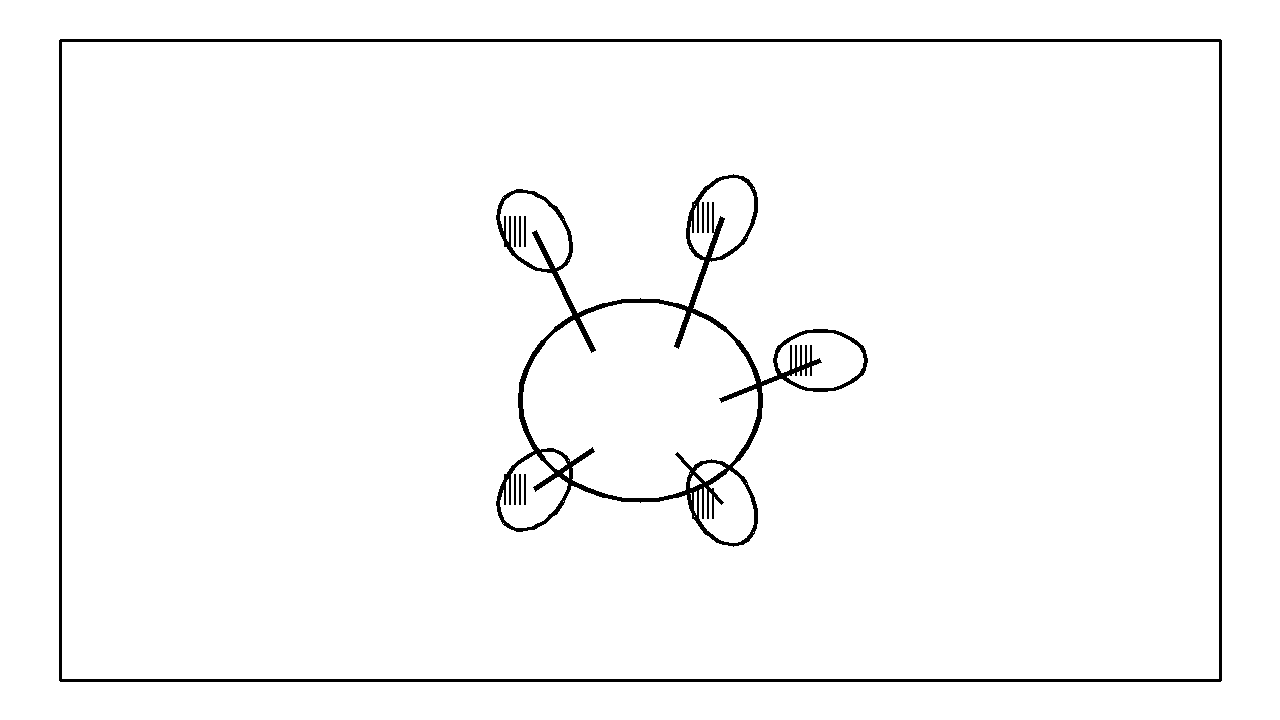 Gecko Toe Pads Closeup Coloring Page