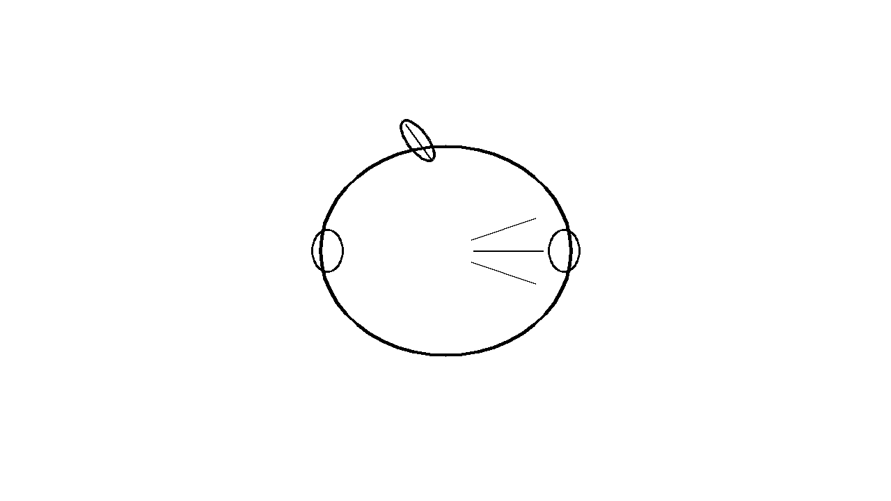 Green Lime Fruit Coloring Page