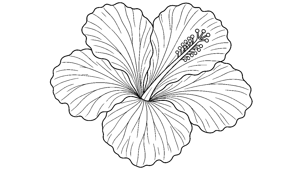 Hibiscus Tropical Bloom