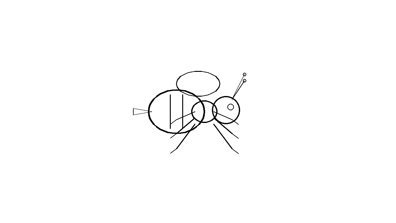 Hornet Large Wasp Coloring Page