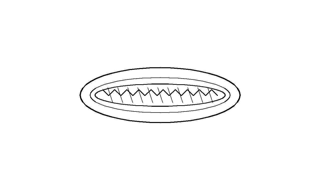 Hot Dog Classic Coloring Page