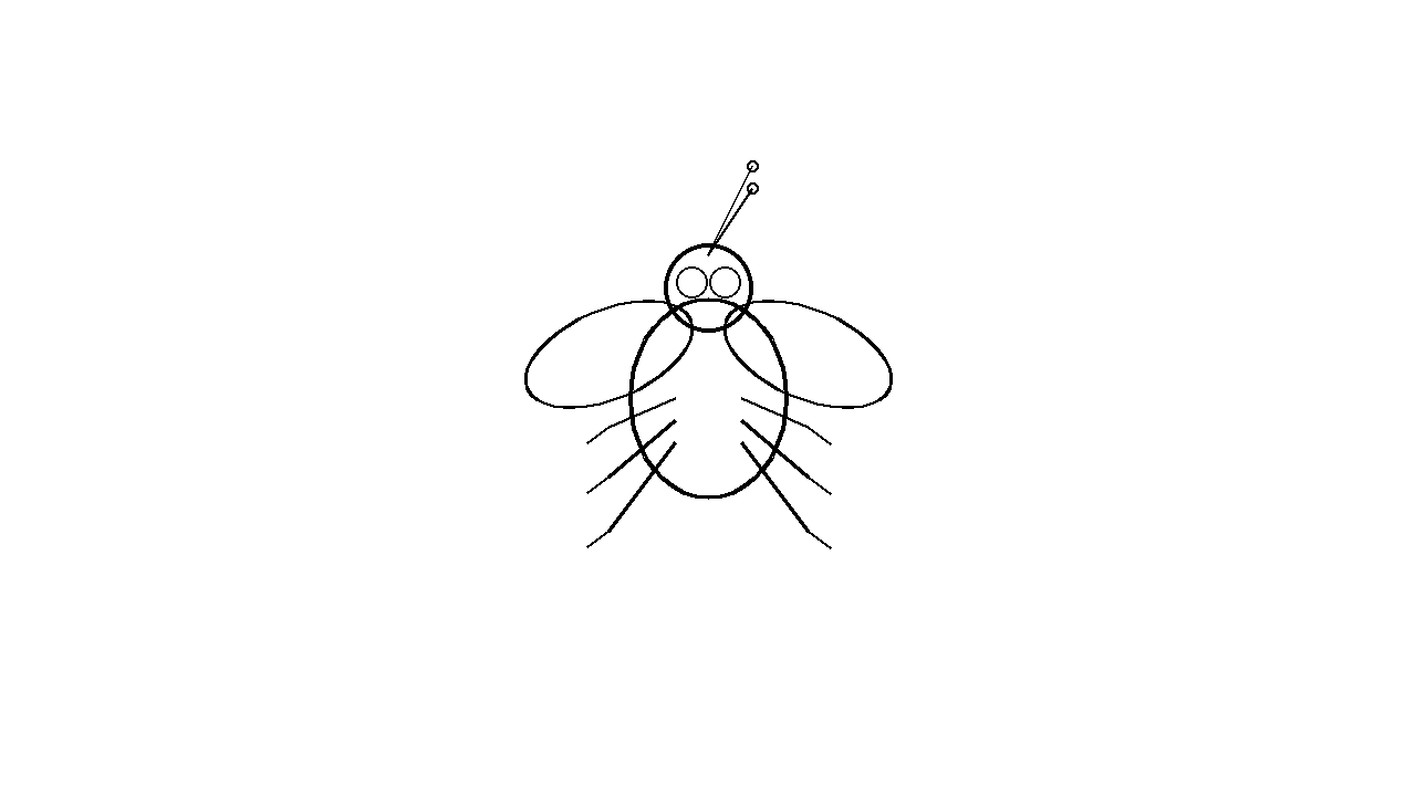 House Fly Insect Coloring Page
