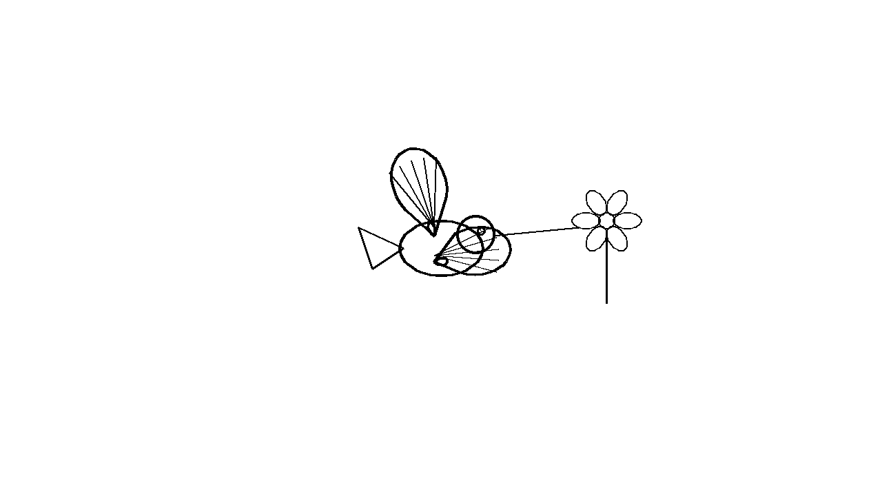 Hummingbird And Flower Coloring Page
