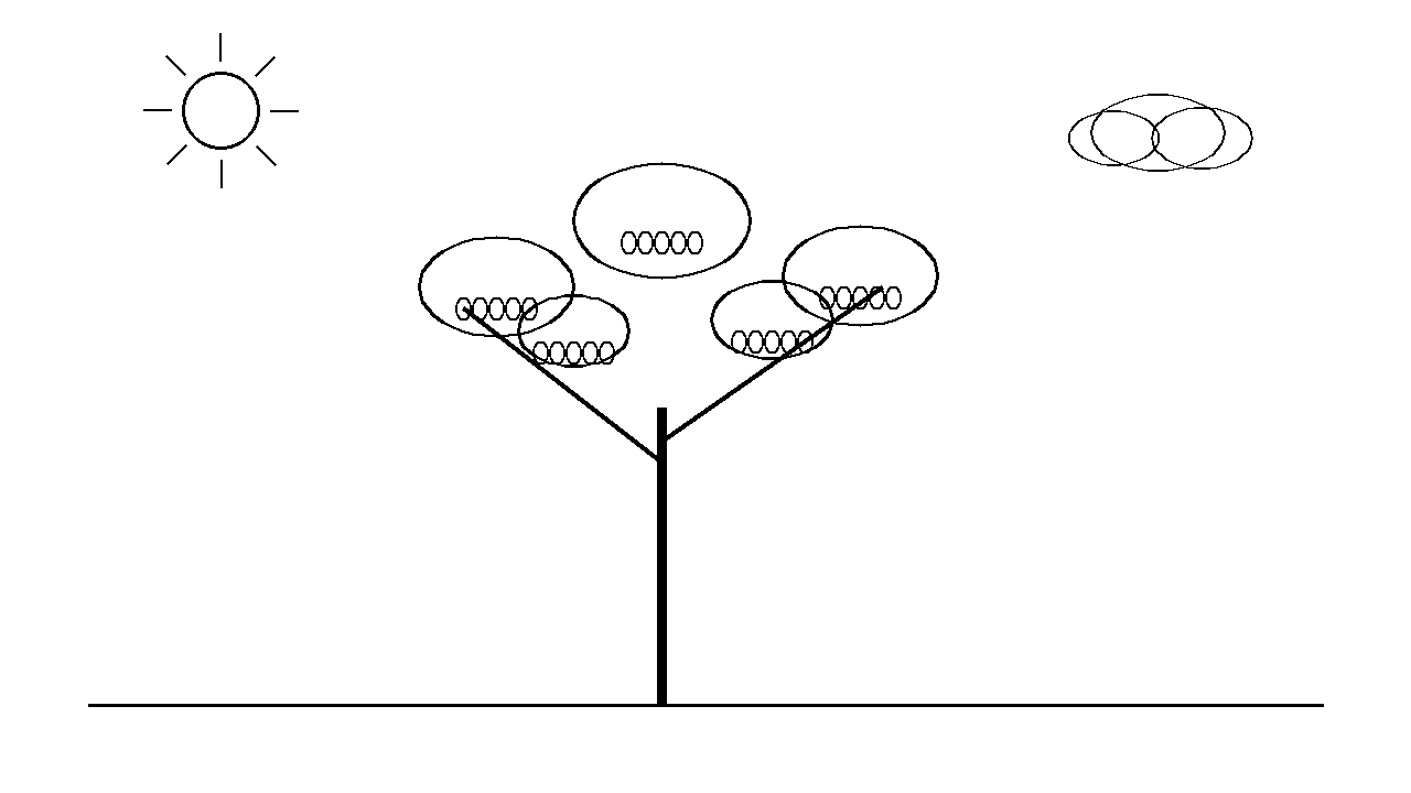 Jacaranda Bloom Tree Coloring Page