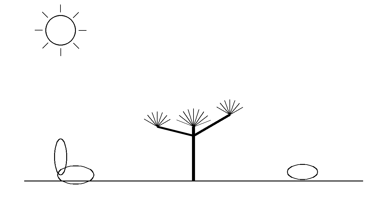 Joshua Desert Tree Coloring Page