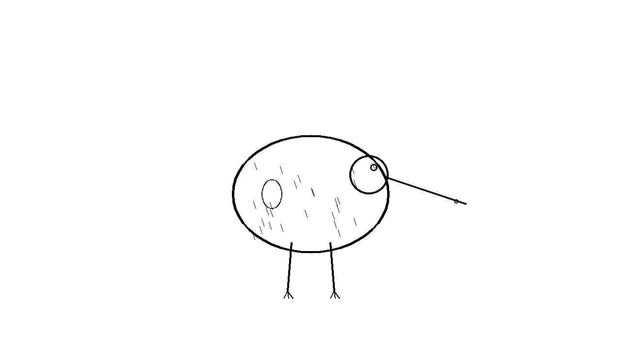 Kiwi Bird New Zealand Coloring Page