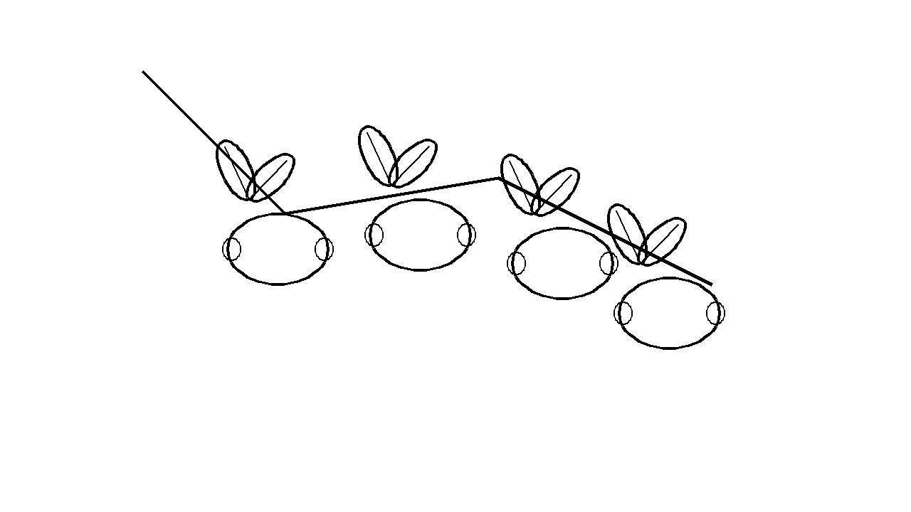 Lemon Branch Leaves Coloring Page