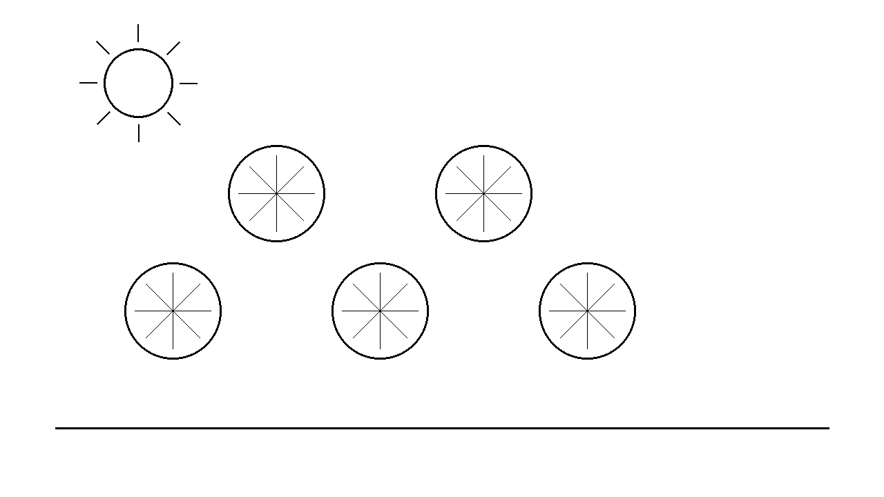 Lemon Slice Pattern Coloring Page