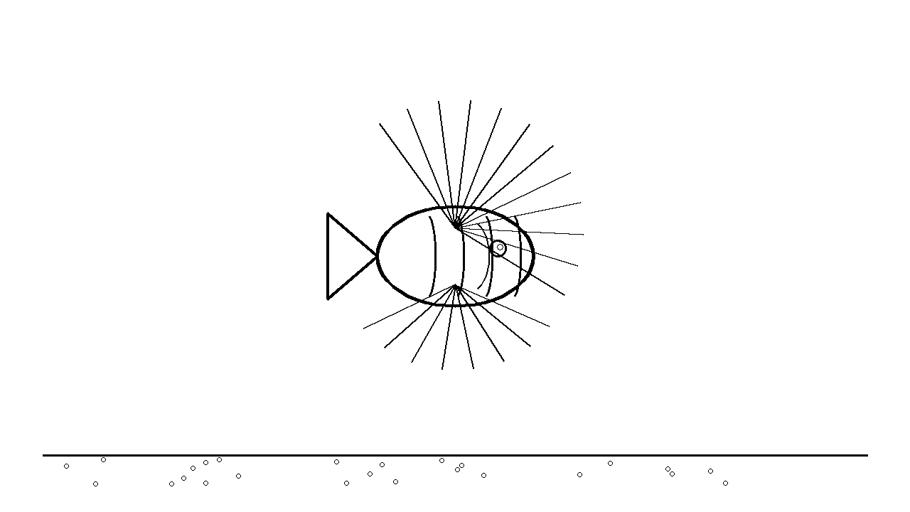 Lionfish Spines Coloring Page