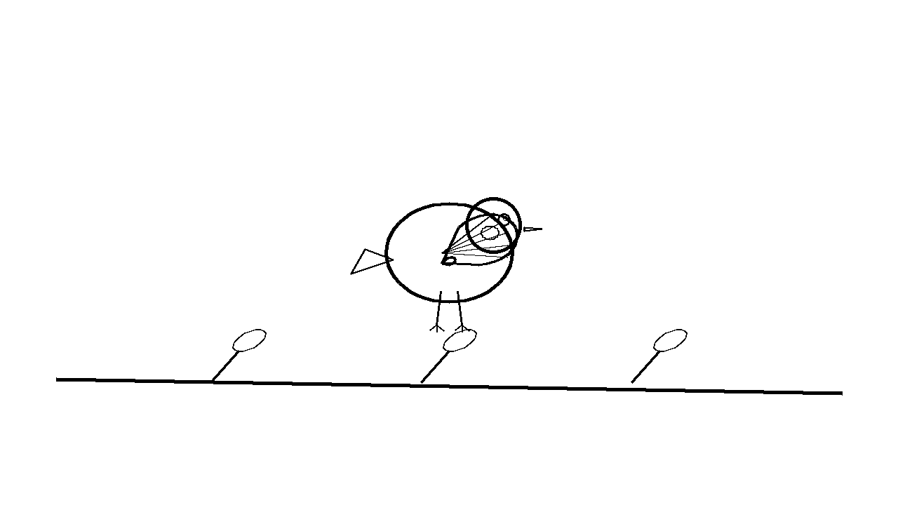 Little Sparrow Bird Coloring Page