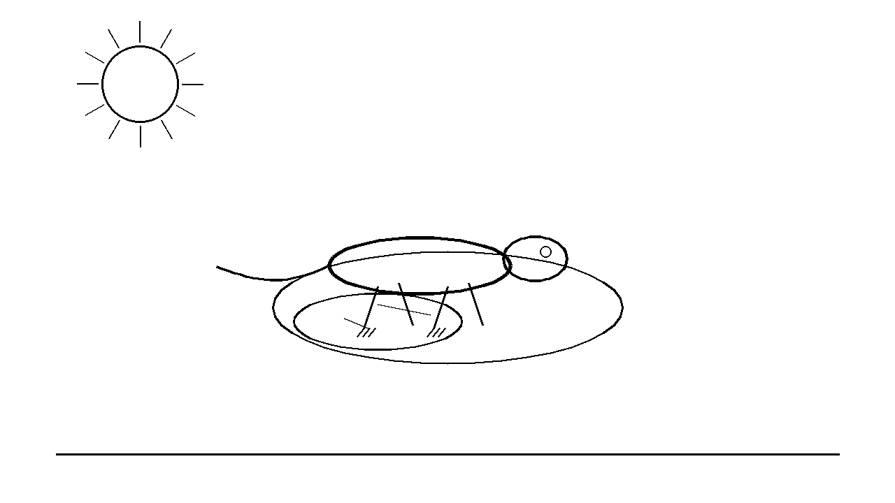 Lizard Sunbathing Rock Coloring Page