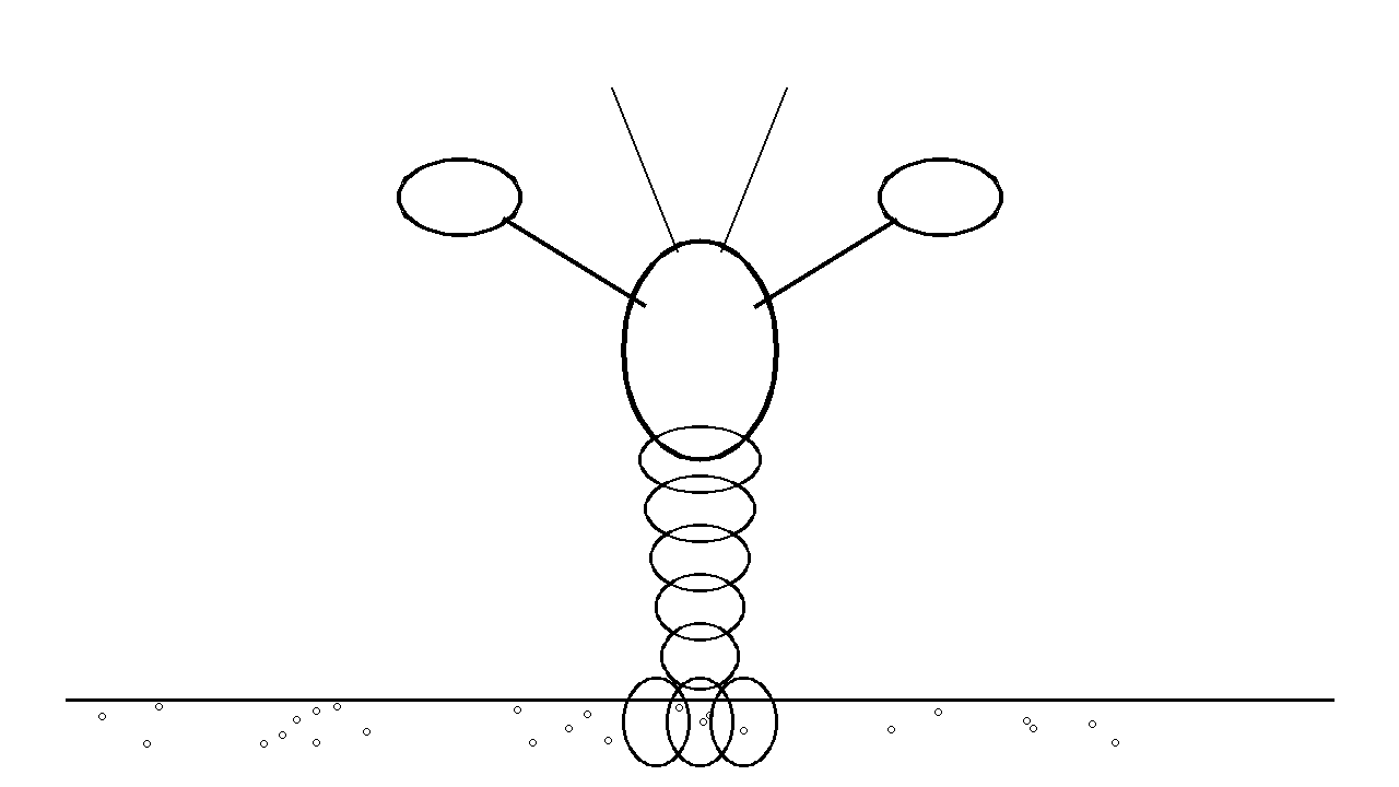 Lobster Ocean Floor Coloring Page