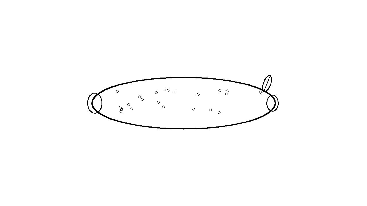 Long Cucumber Vegetable Coloring Page