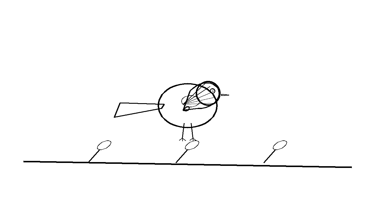 Magpie Long Tail Coloring Page