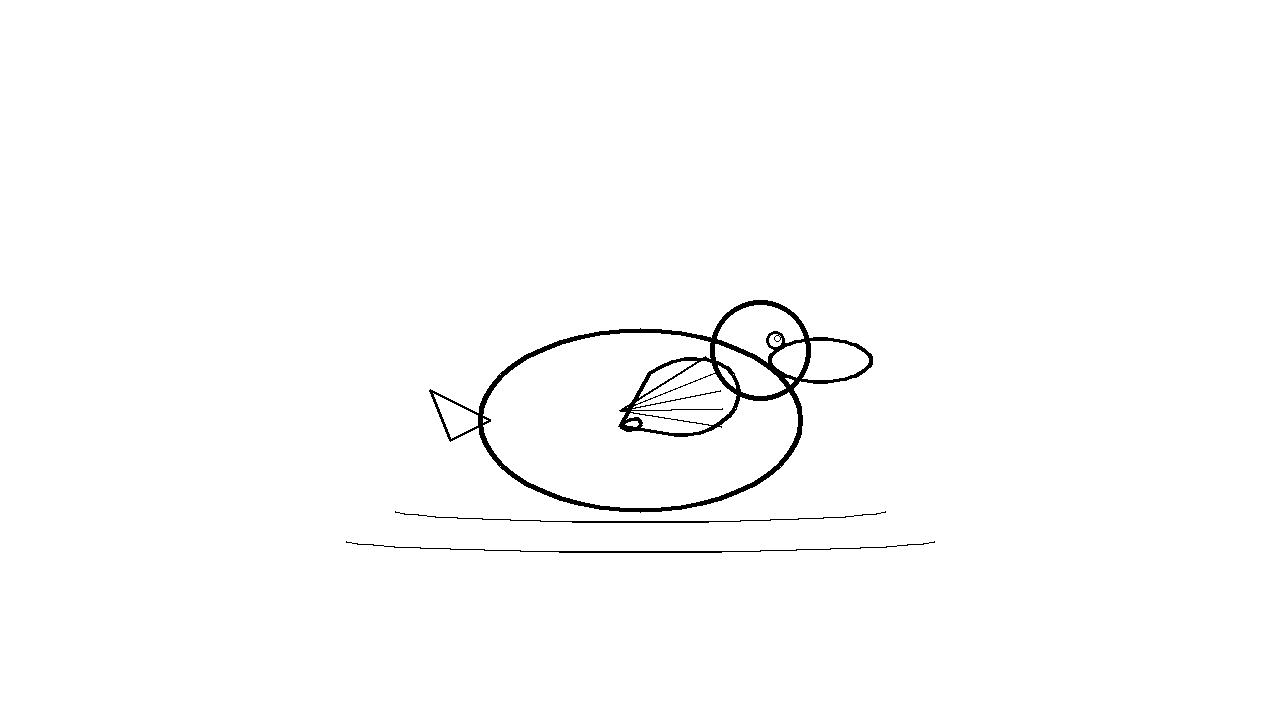 Mallard Duck Swimming Coloring Page