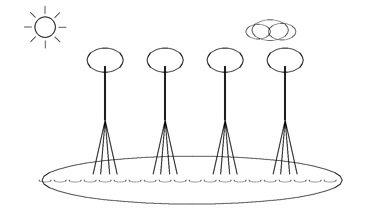 Mangrove Root Trees Coloring Page