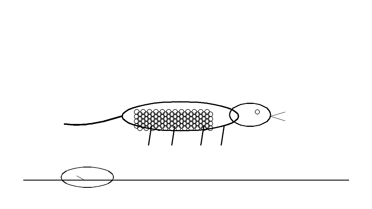 Monitor Lizard Coloring Page
