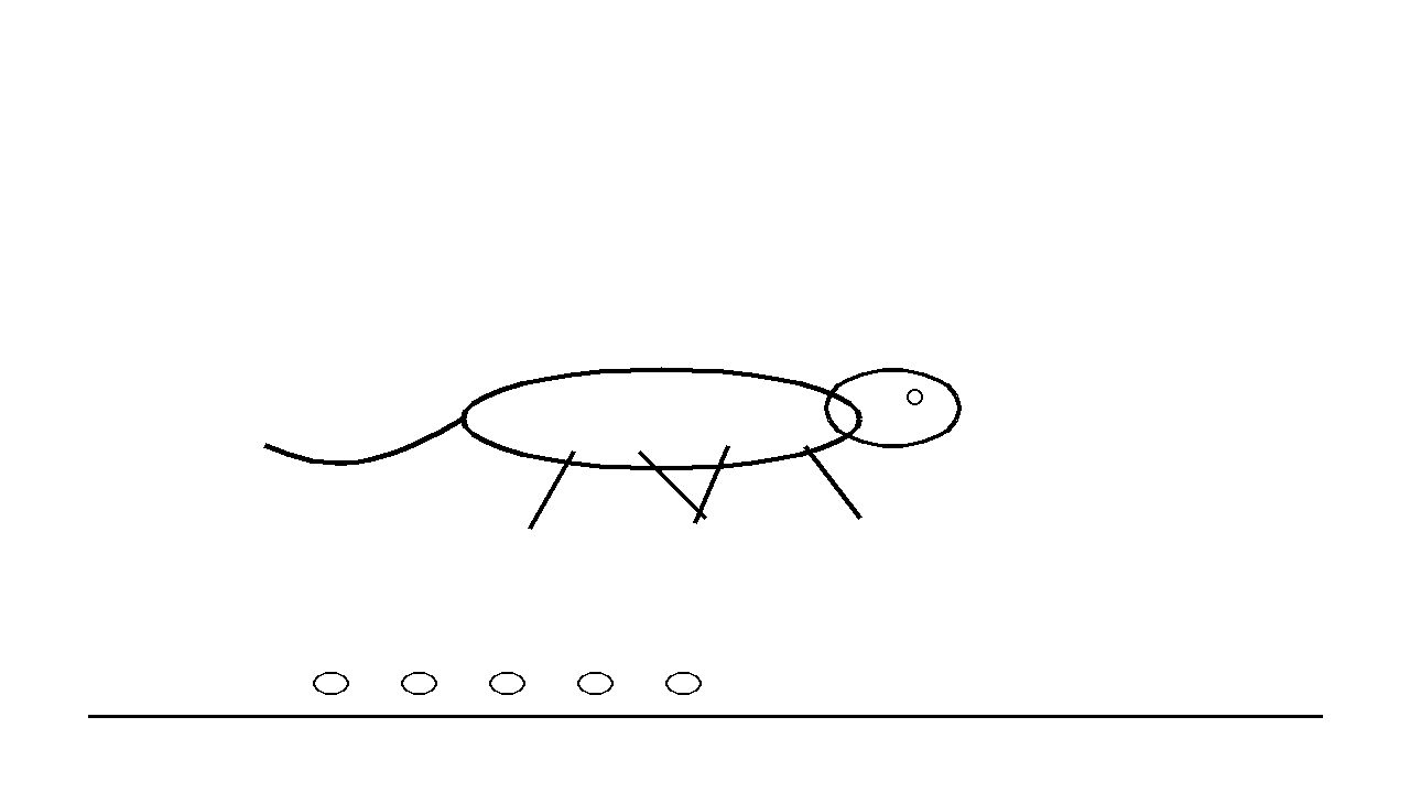 Monitor Lizard Walking Coloring Page