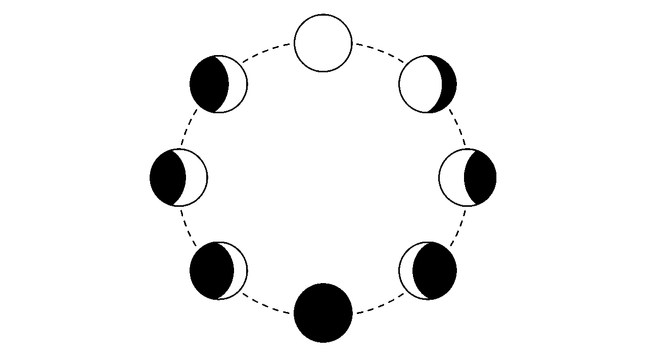 Moon Phases Chart Coloring Page
