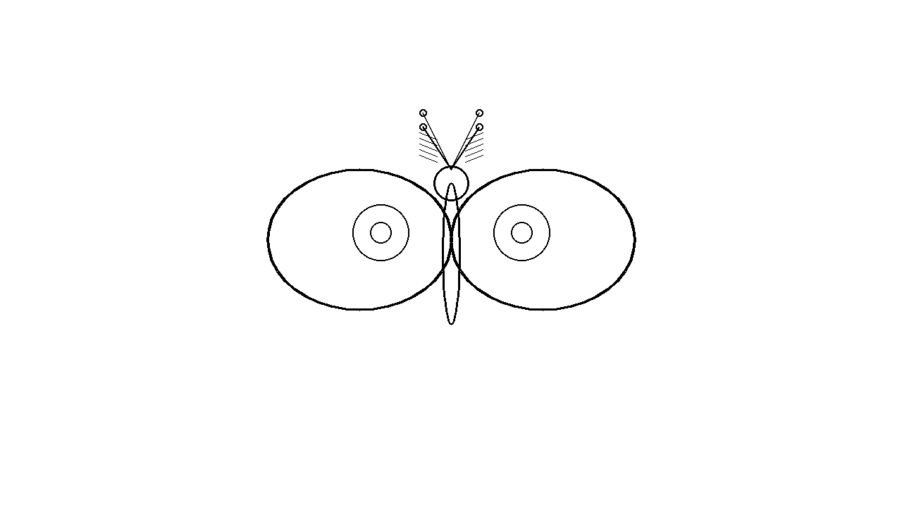 Moth Soft Wings Coloring Page