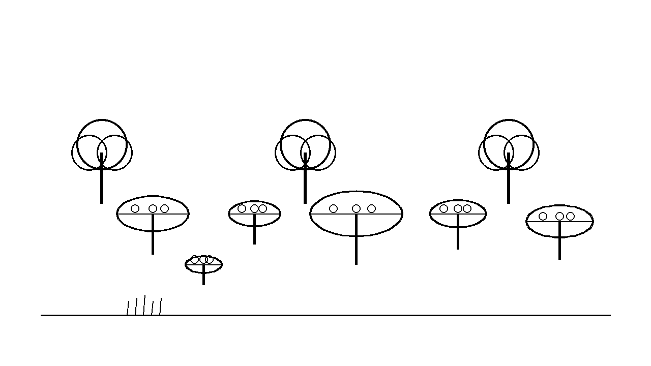 Mushroom Forest Floor Coloring Page