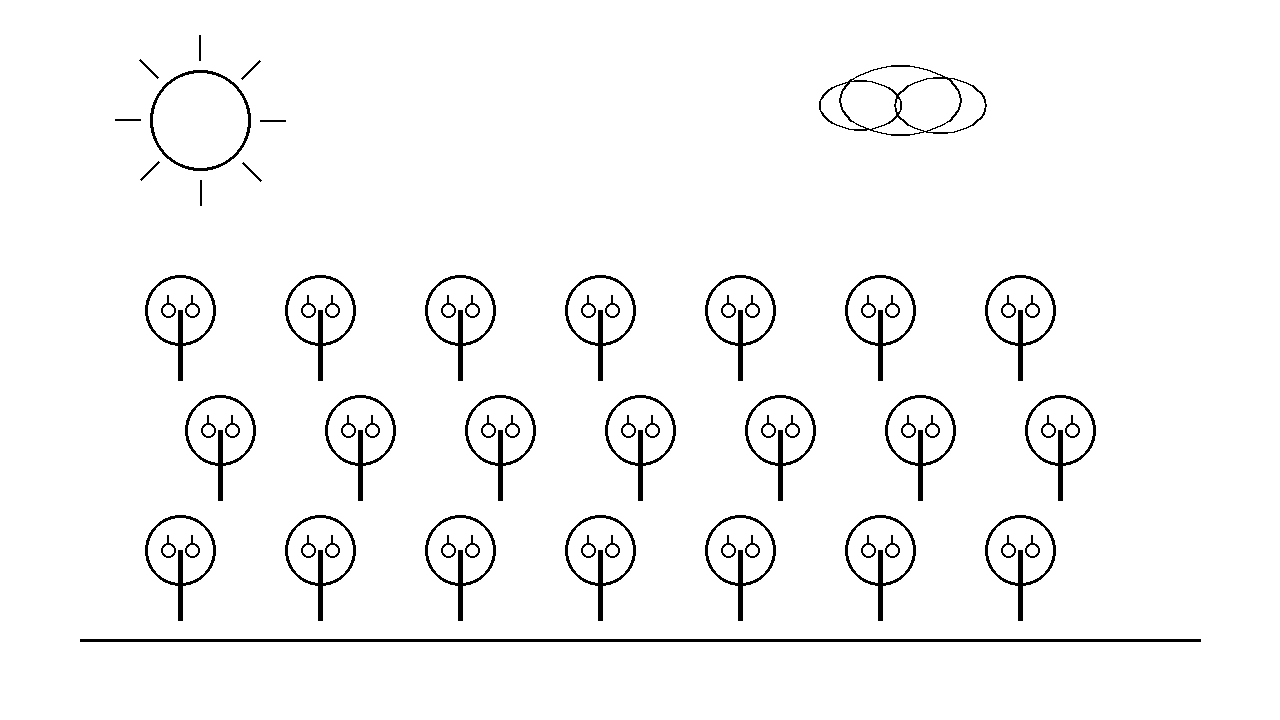 Orchard Tree Rows Coloring Page