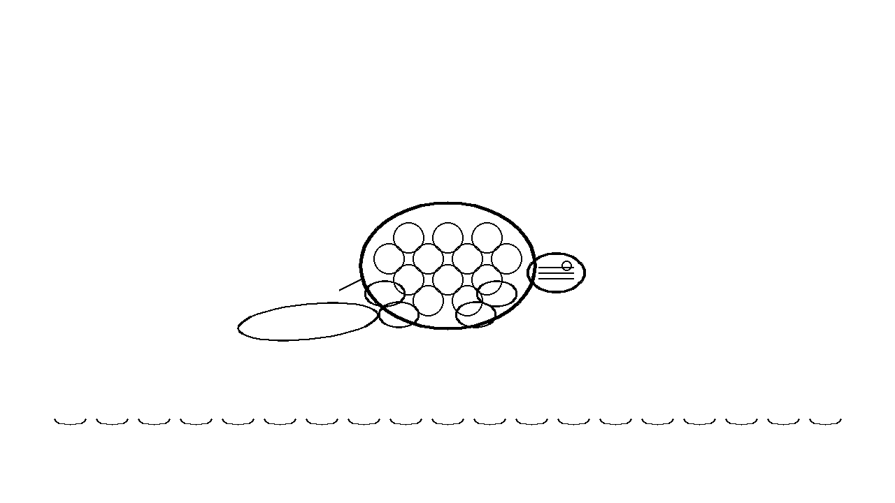 Painted Turtle Coloring Page
