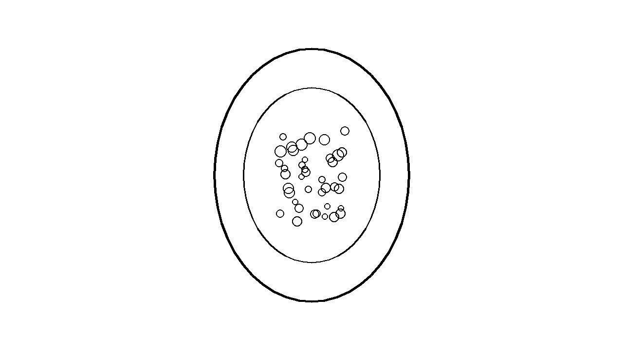 Papaya Half Seeds Coloring Page