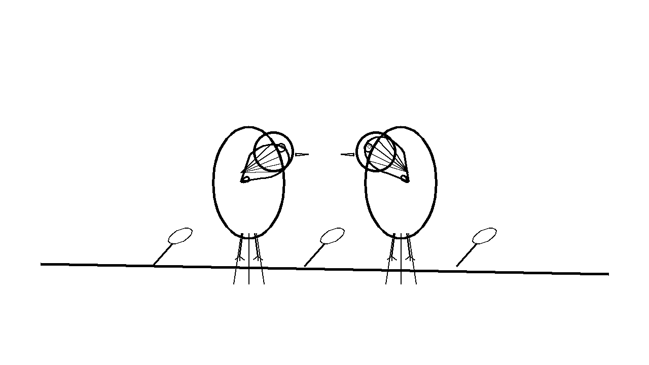 Parrot Pair Branch Coloring Page