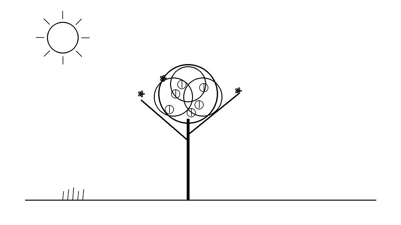 Peach Blossom Tree Coloring Page