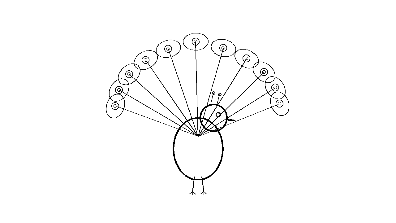 Peacock Fancy Feathers Coloring Page
