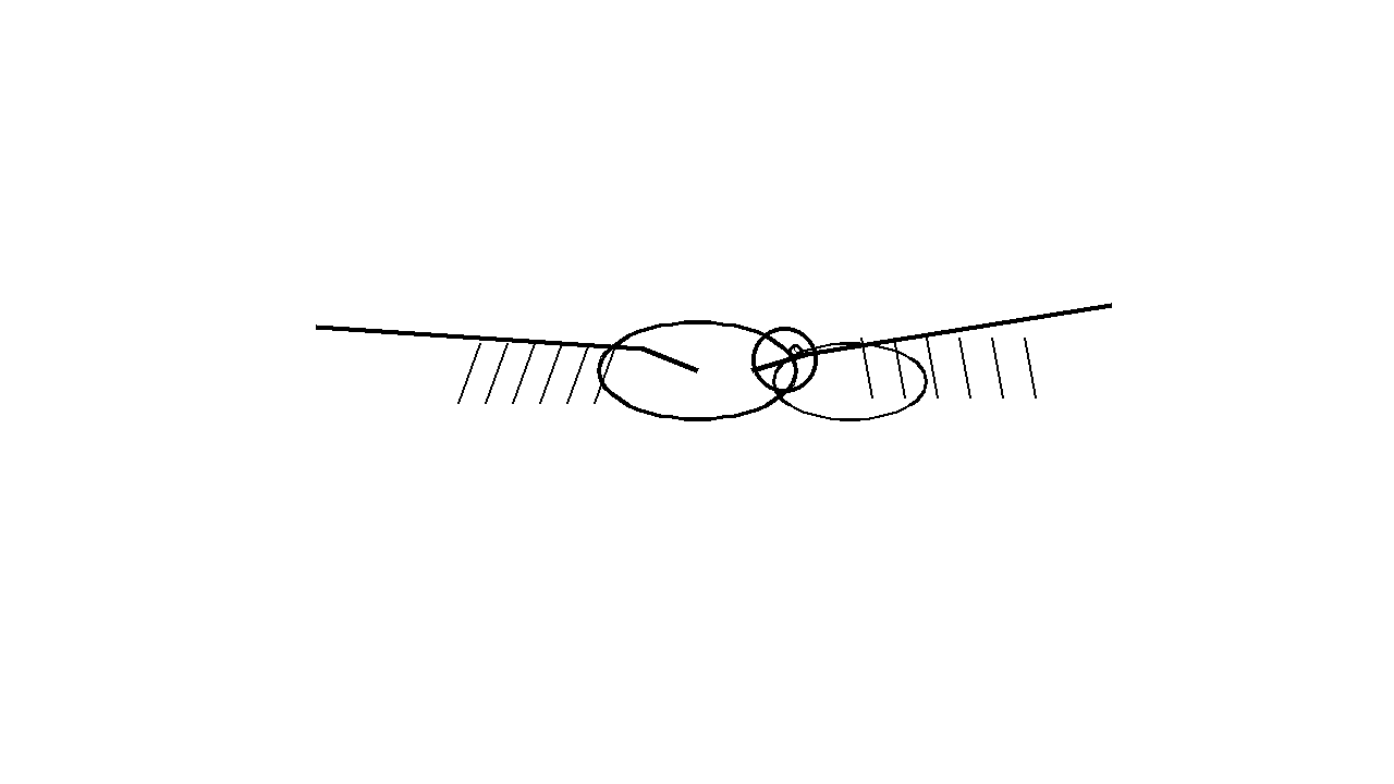 Pelican In Flight Coloring Page