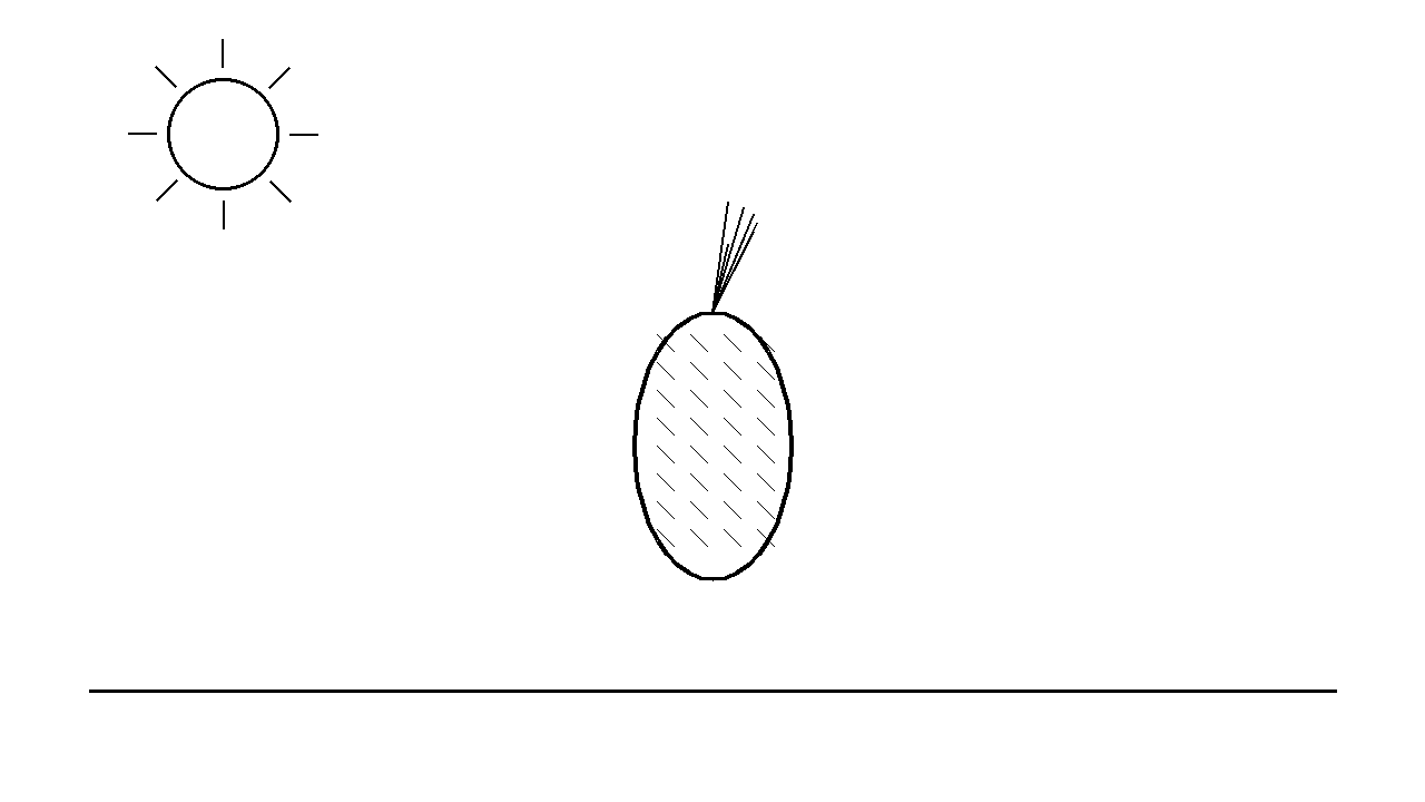 Pineapple Tropical Coloring Page