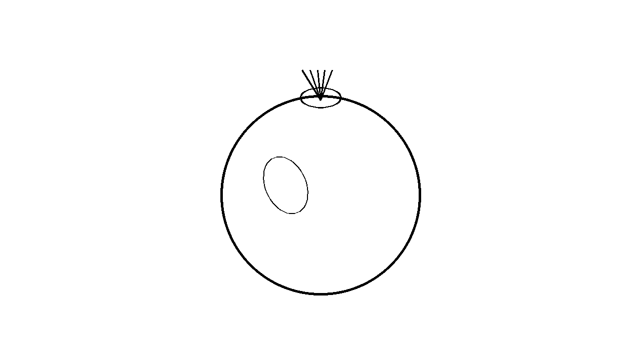 Pomegranate Fruit Coloring Page