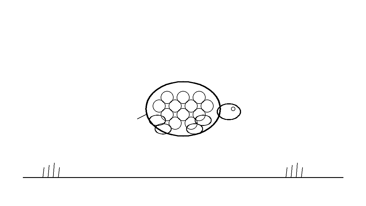 Pond Turtle Coloring Page