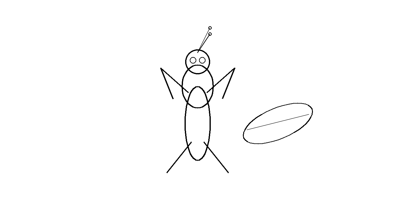 Praying Mantis Insect Coloring Page