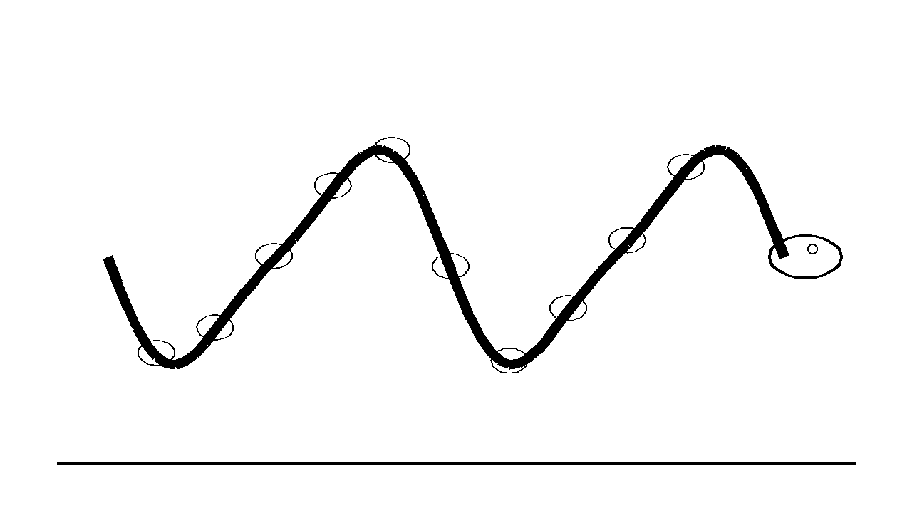 Python Snake Coloring Page