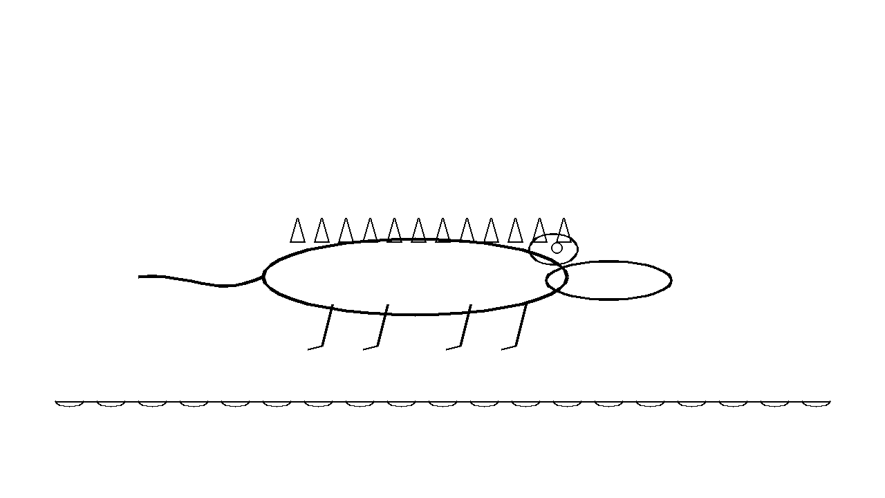 River Crocodile Coloring Page