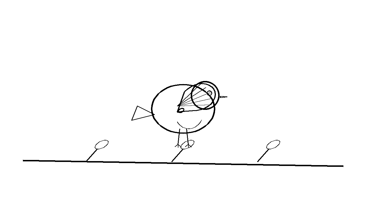 Robin Redbreast Bird Coloring Page