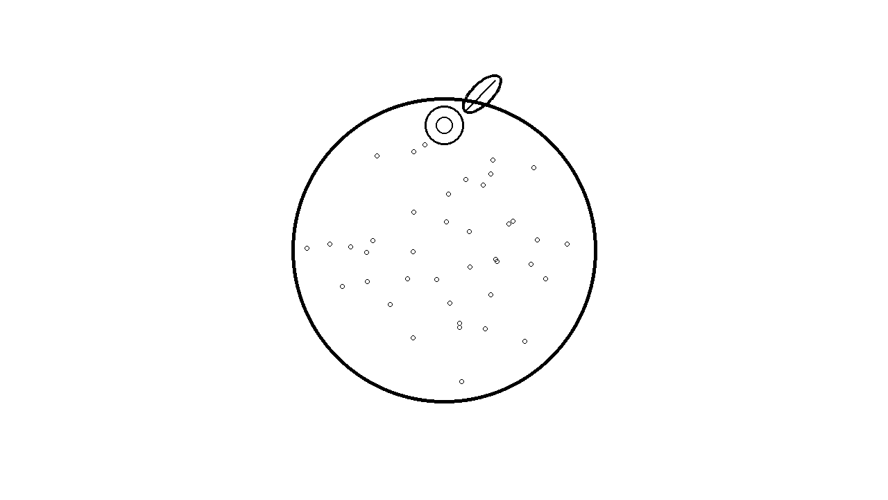 Round Orange Fruit Coloring Page